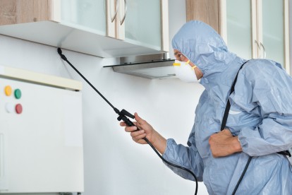 Home Pest Control, Pest Control in Sutton, Rose Hill, SM1. Call Now 020 8166 9746