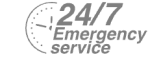 24/7 Emergency Service Pest Control in Sutton, Rose Hill, SM1. Call Now! 020 8166 9746